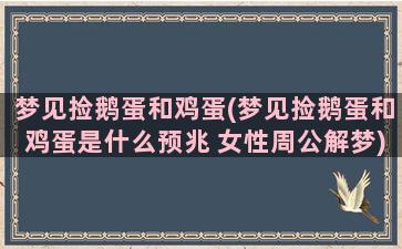 梦见捡鹅蛋和鸡蛋(梦见捡鹅蛋和鸡蛋是什么预兆 女性周公解梦)